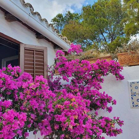 Villa Tonnara San Vito Lo Capo Luaran gambar