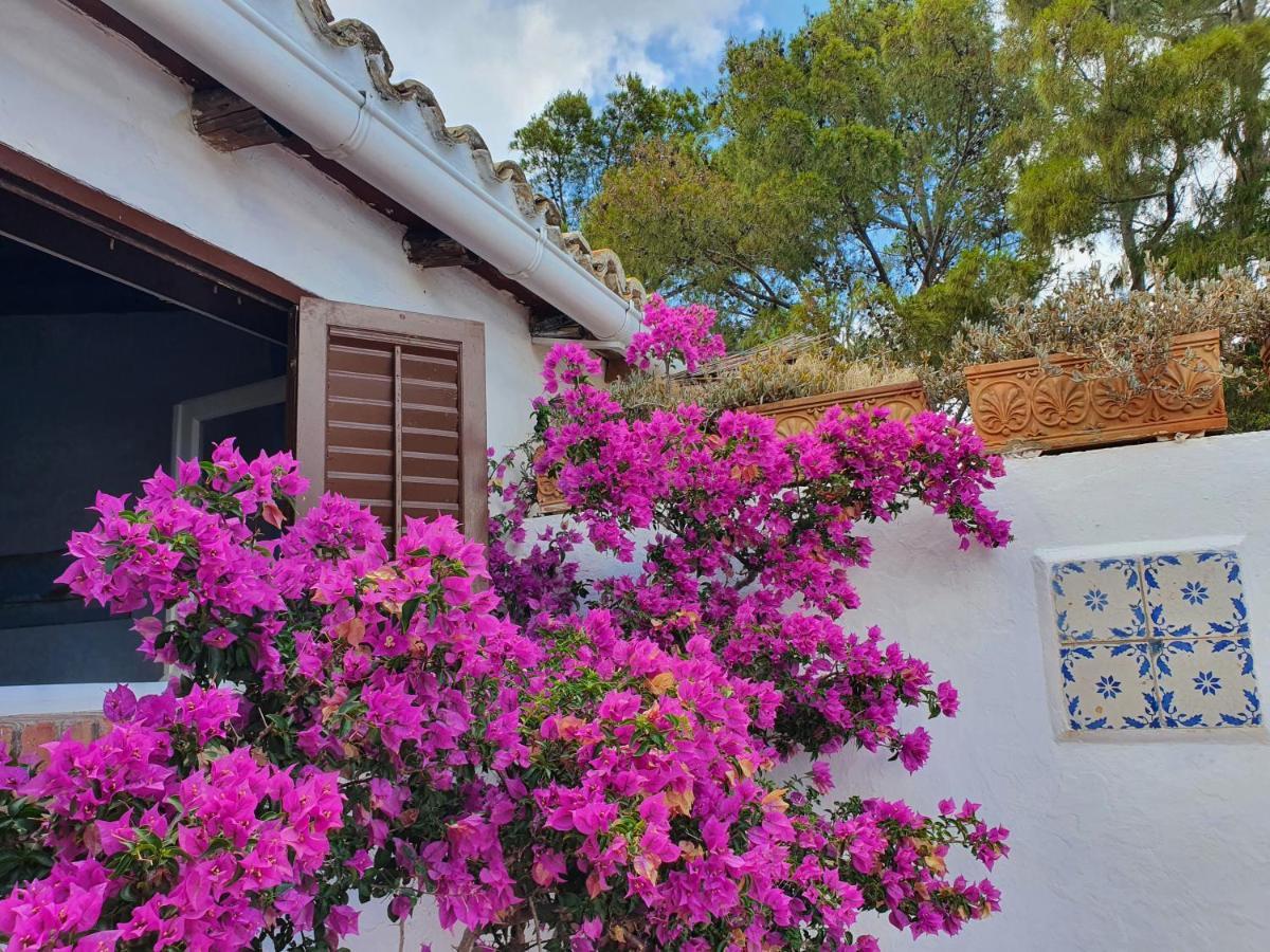 Villa Tonnara San Vito Lo Capo Luaran gambar